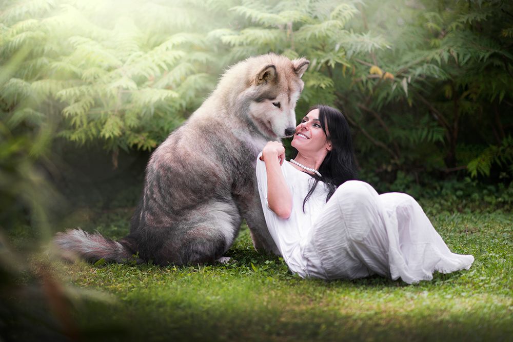 Saved by the wolf