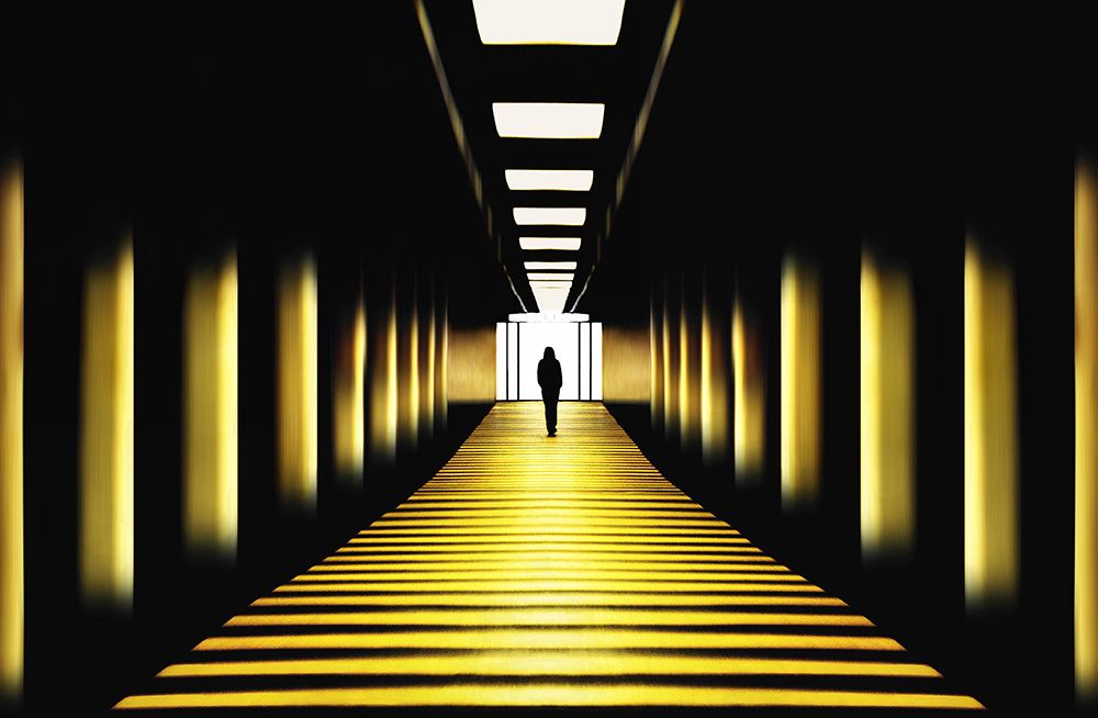 Sunny path