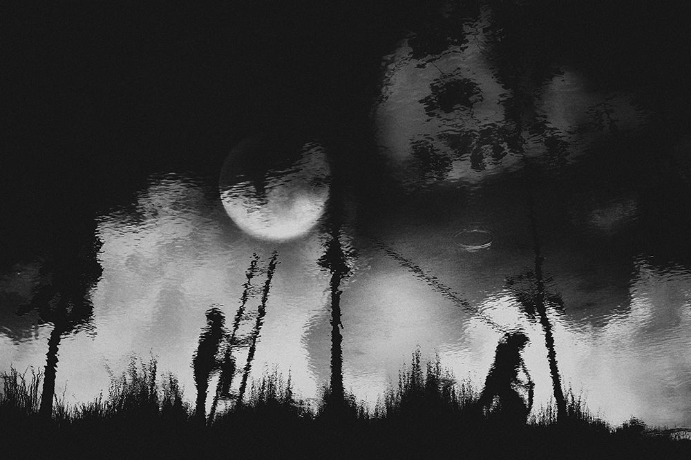 Dream World
