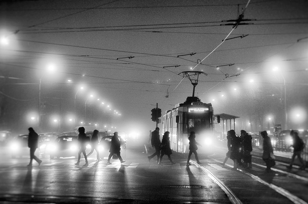In the mist