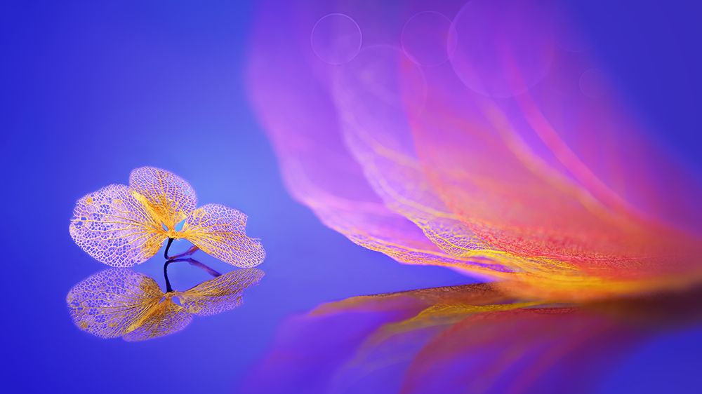 Leaf Message