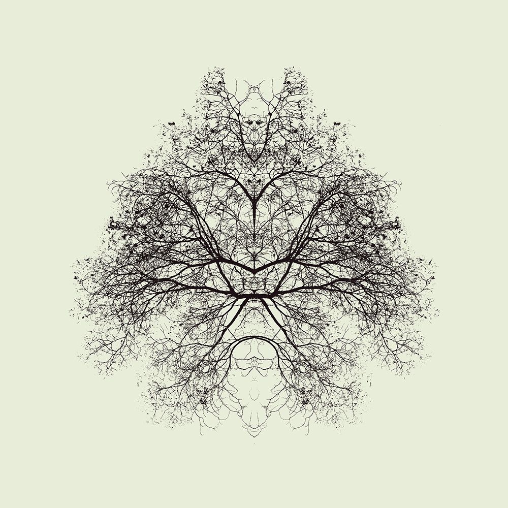 Rorschach Test