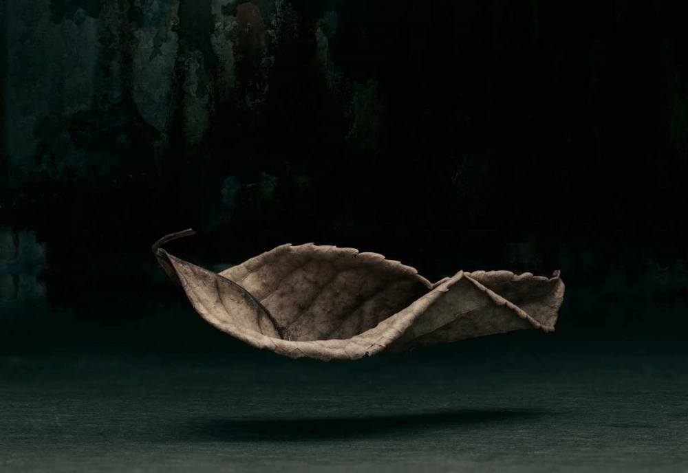 Fallen