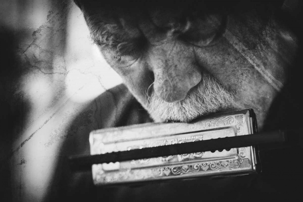 Wolf With Harmonica
