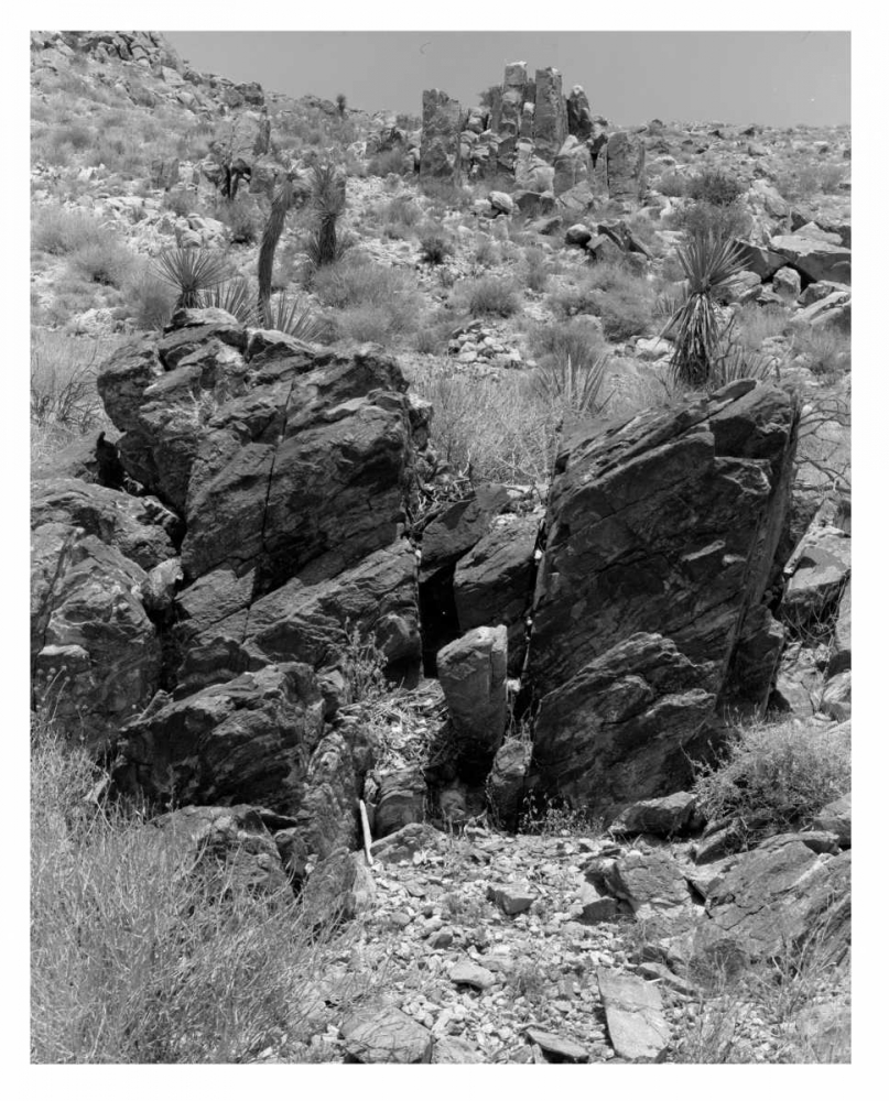 Twentynine Palms, San Bernadino, c1910