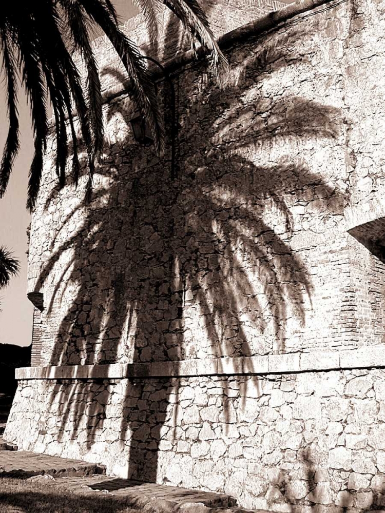 Palm Shadow, Antibes