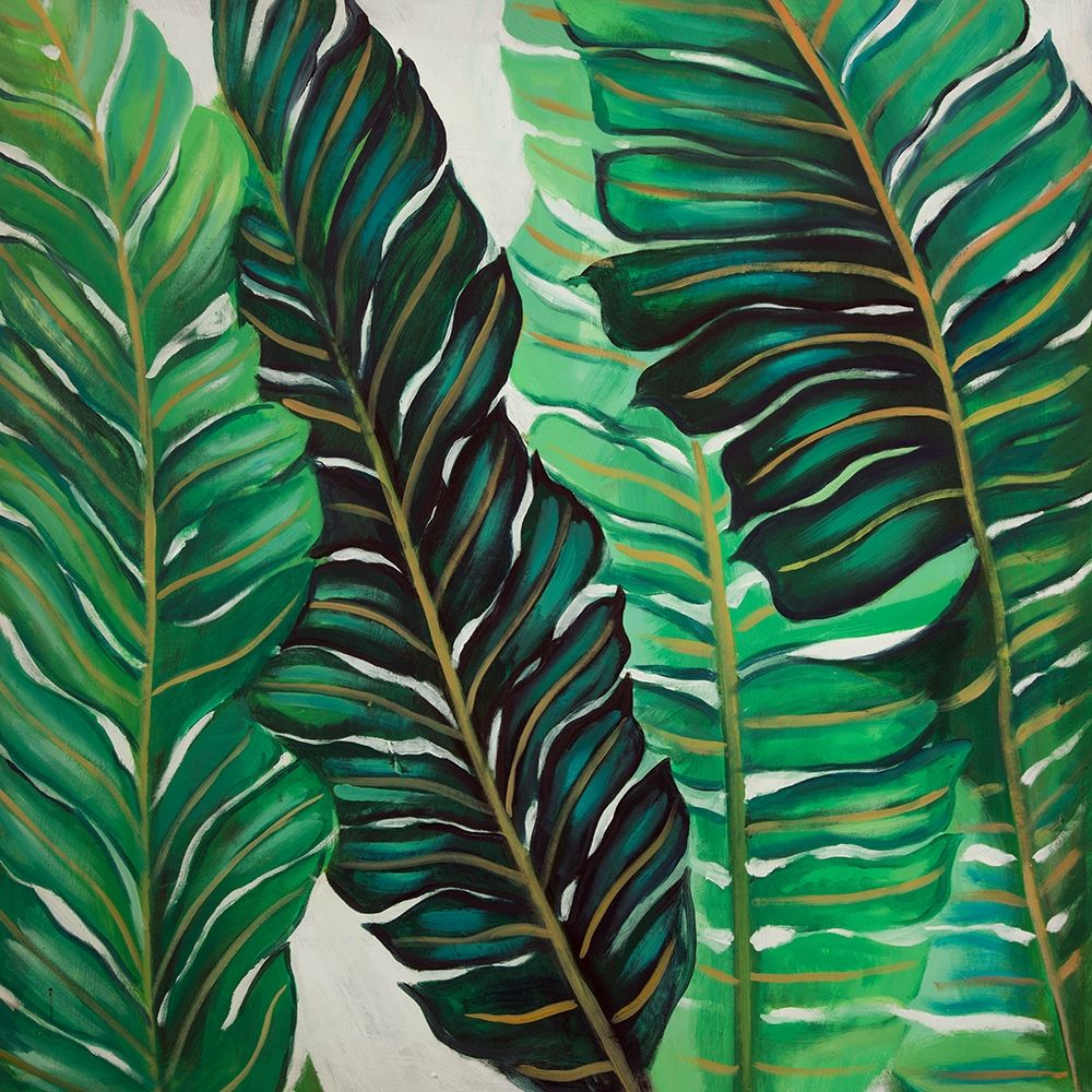 SEVERAL EXOTIC PLANT LEAVES