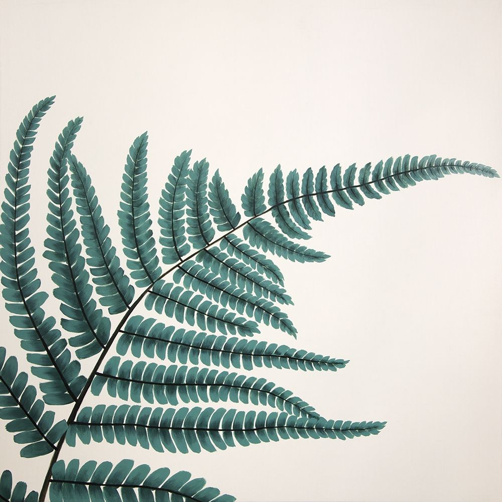 FERN