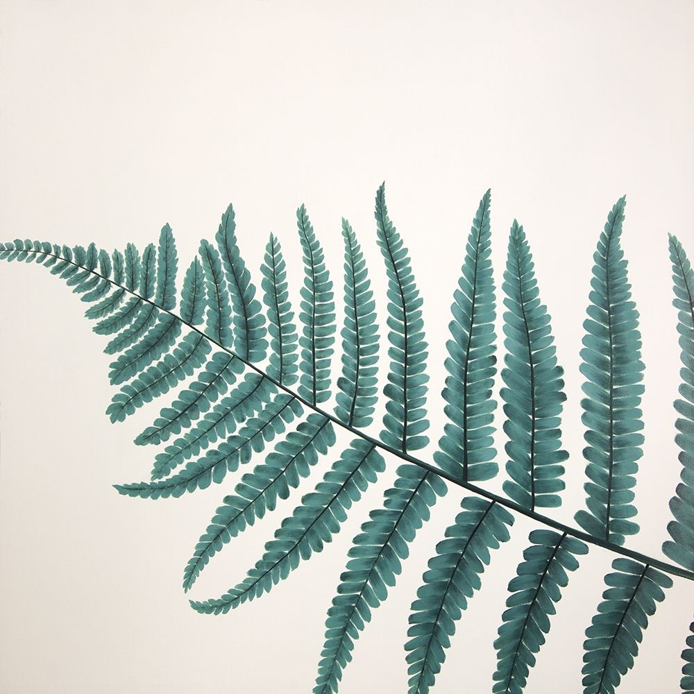 BEAUTIFUL FERN