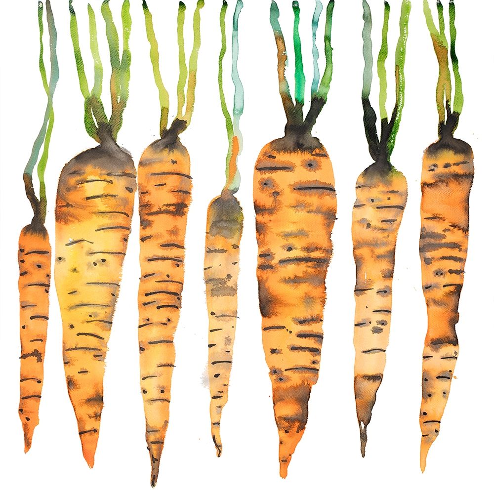 WATERCOLOR CARROTS
