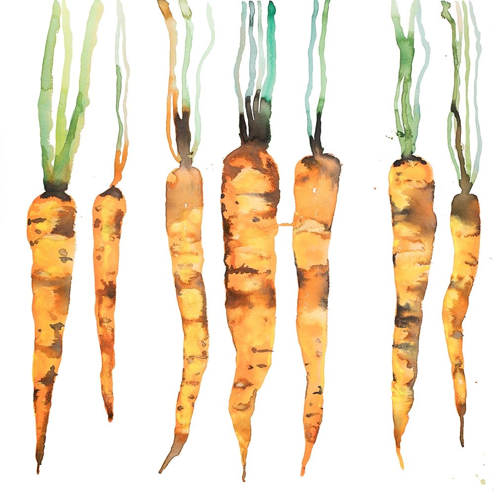 FRESHLY PICKED CARROTS