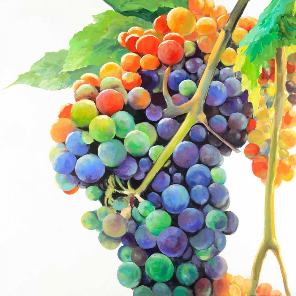 Colorful Bunch of Grapes