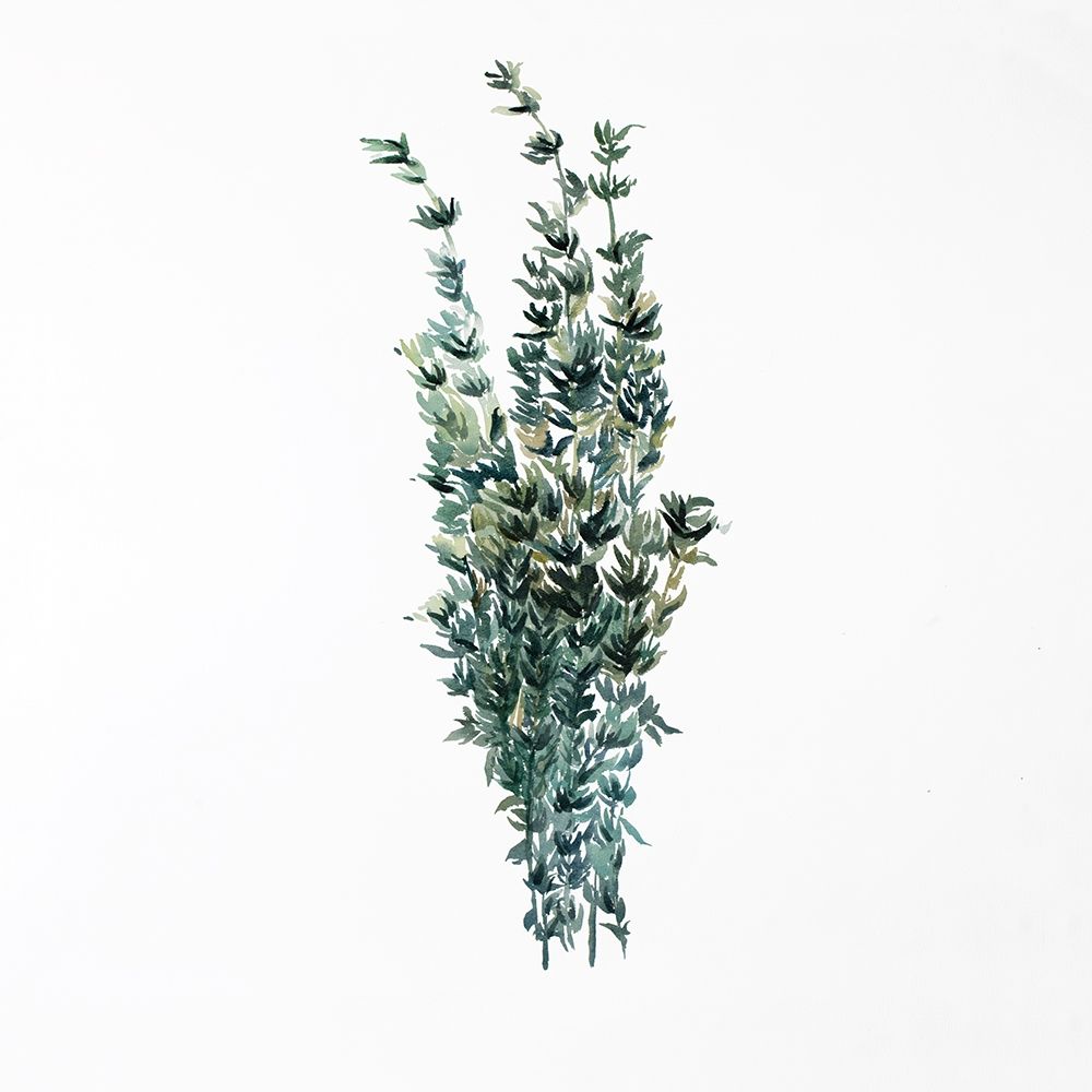THYME LEAVES BUNDLE