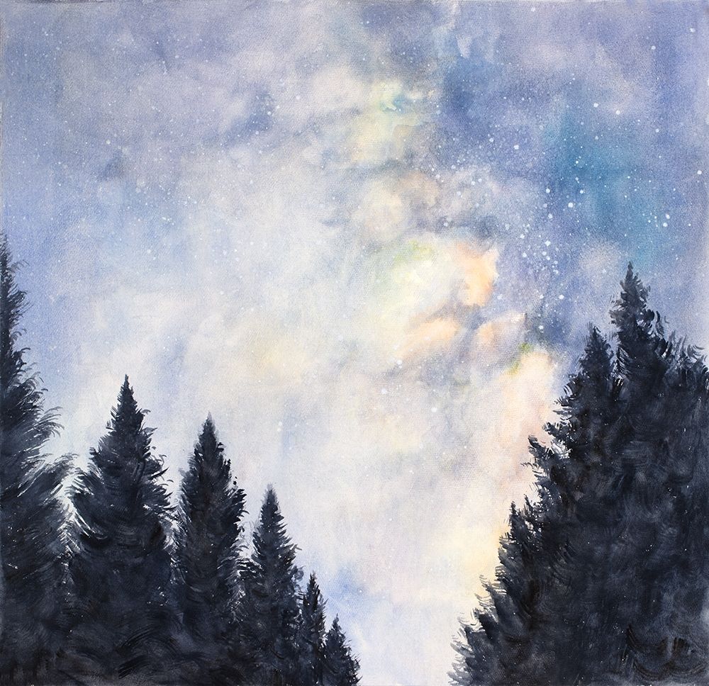 STARRY SKY IN A DARK FOREST