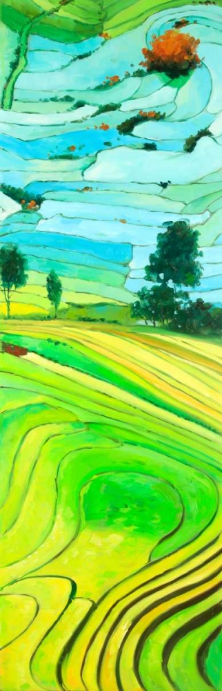 Rice fields to Vietnam