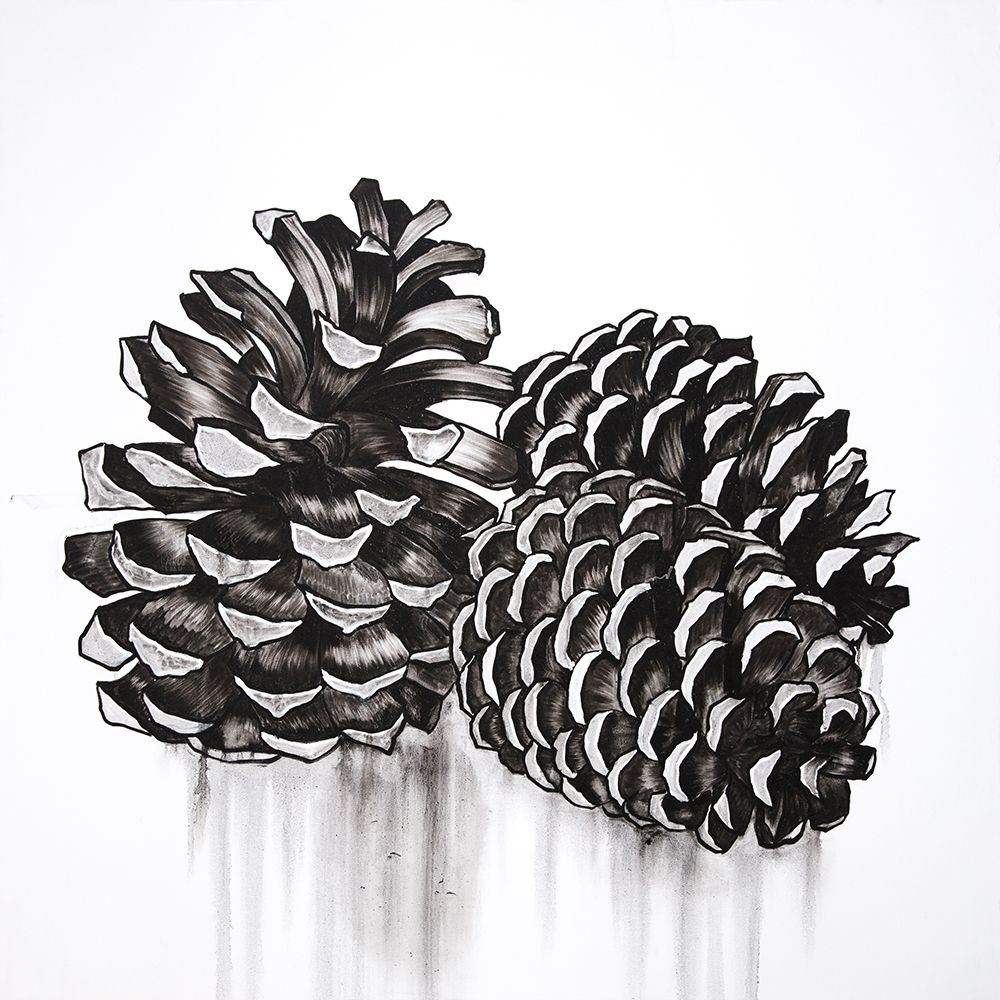THREE SMALL PINE CONES