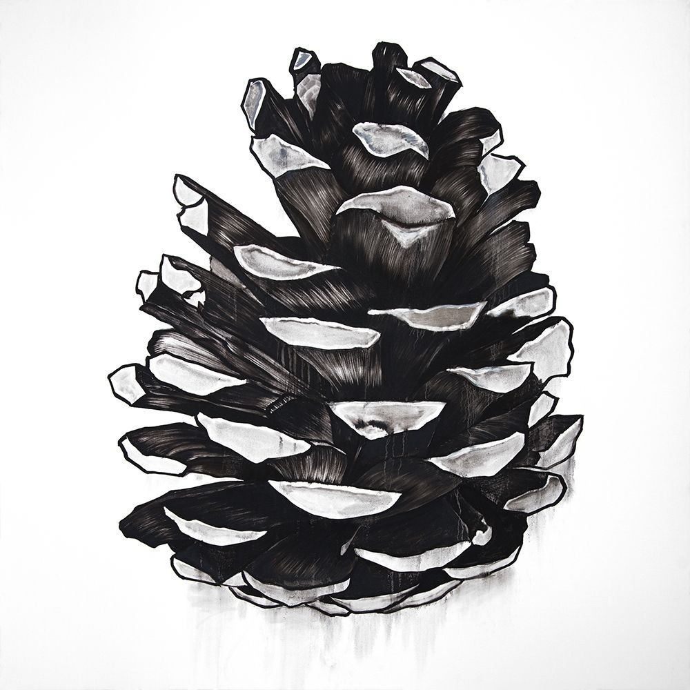 PINE CONE