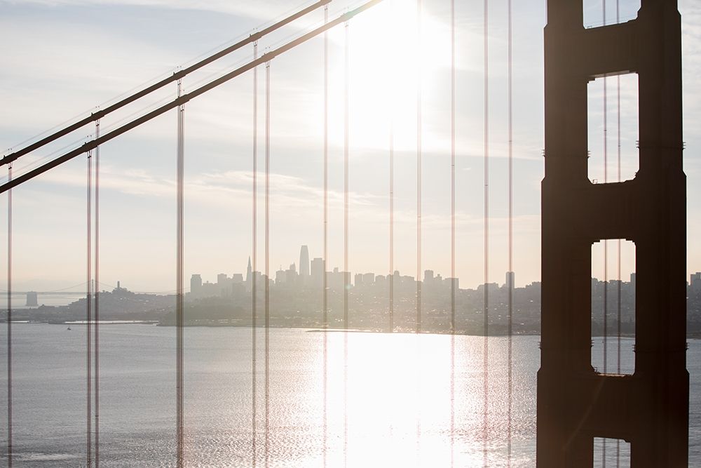 Golden Gate Vista