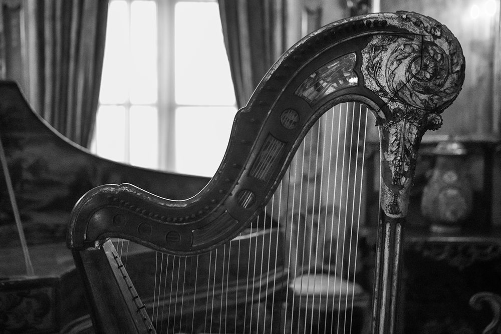 Waiting Harp