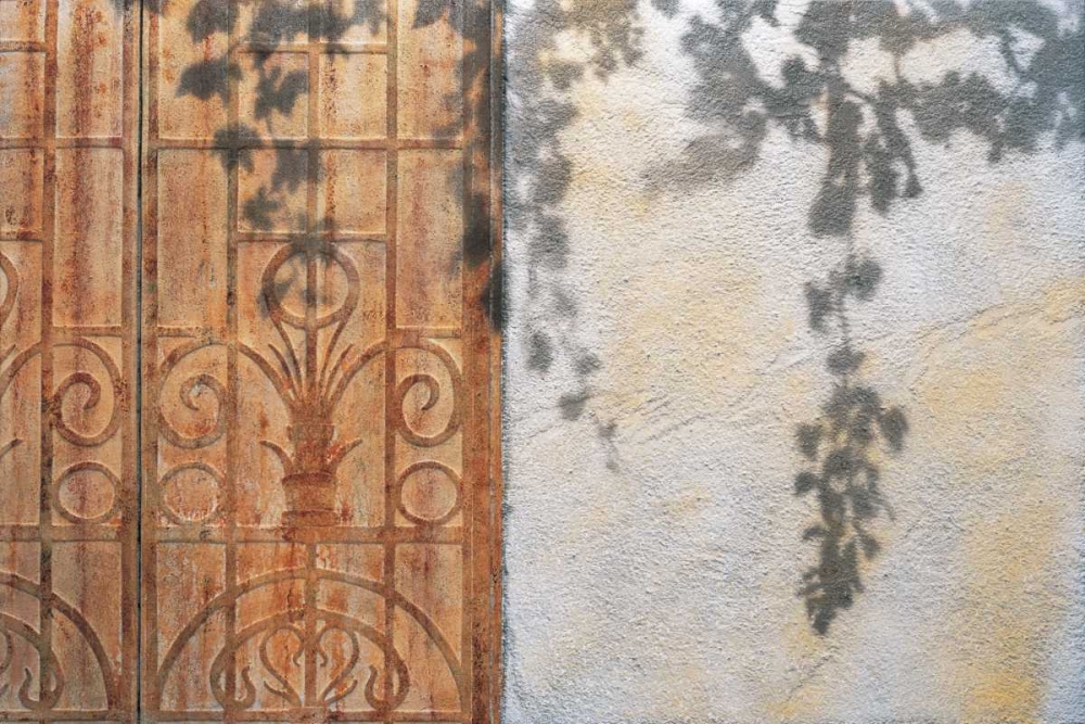 Rusty Door and Grapevine