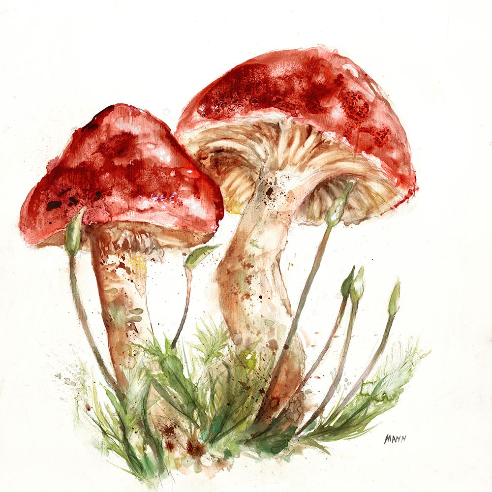 Fruiting Bodies I V30