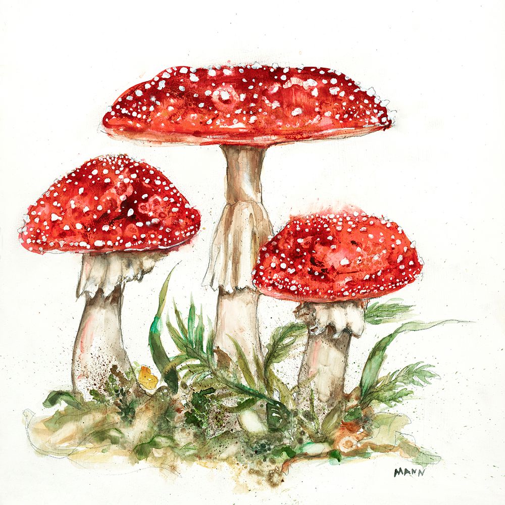 Fruiting Bodies II V30