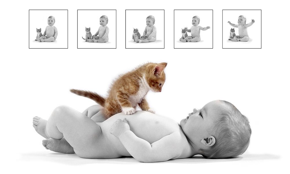 Kitten and baby