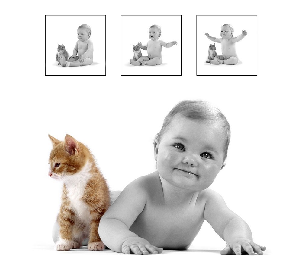 baby and kitten