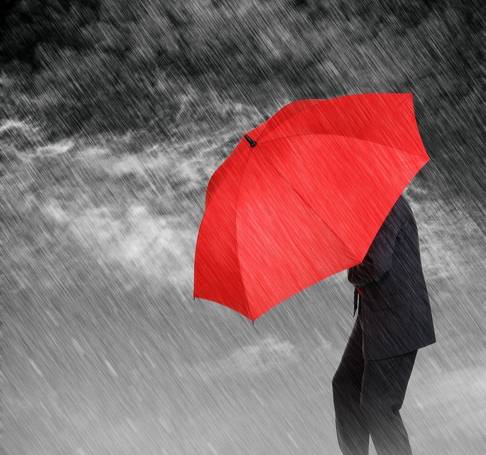 Weathering the Storm