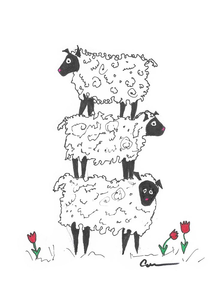 Stacked Sheep