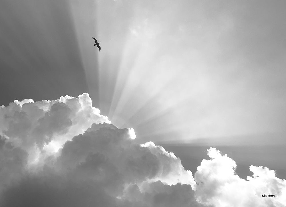 Heavenly