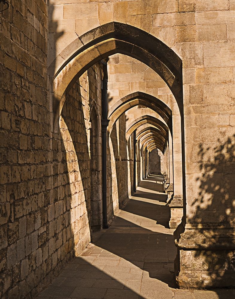 Cloister Arches