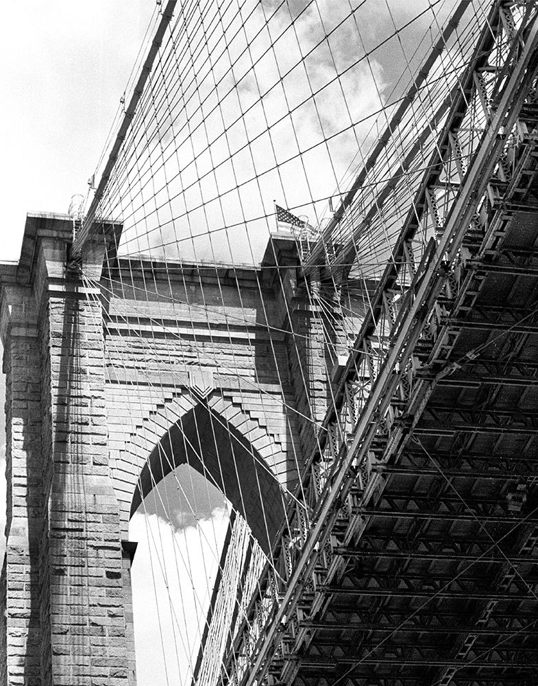 Under the Brooklyn Bridge