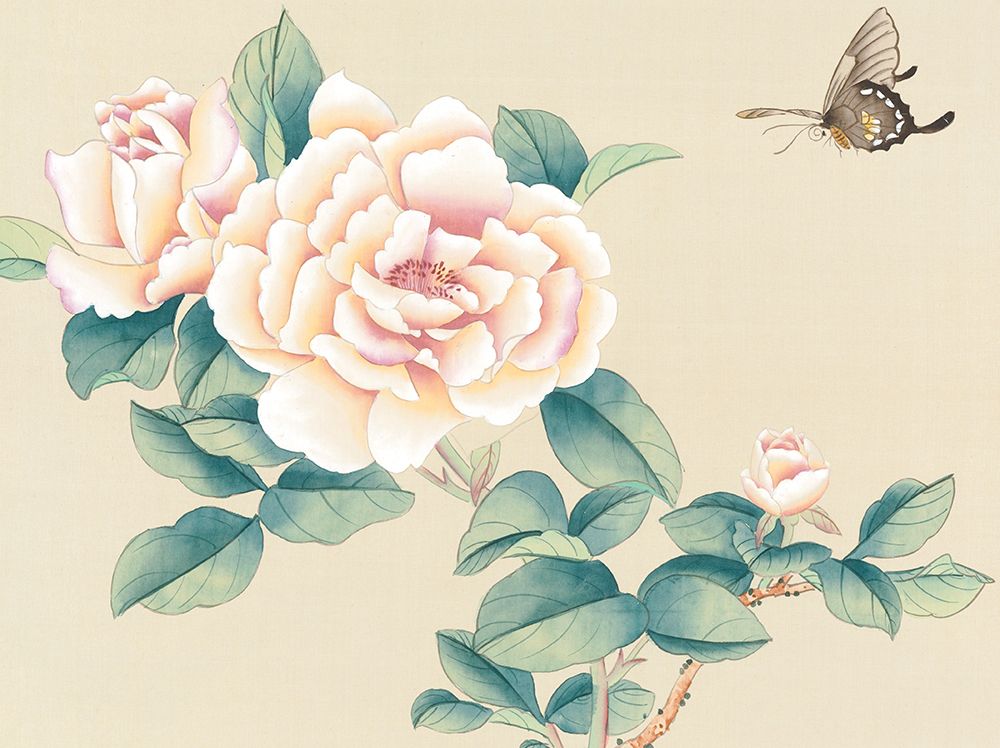 Oriental Butterfly