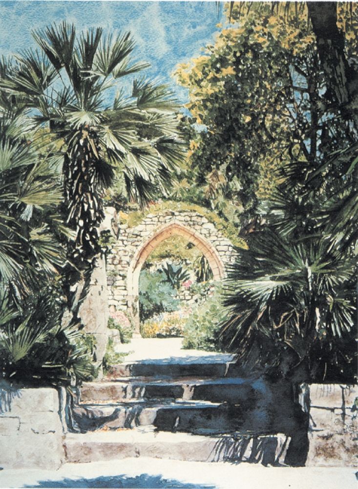 Arch and Palms