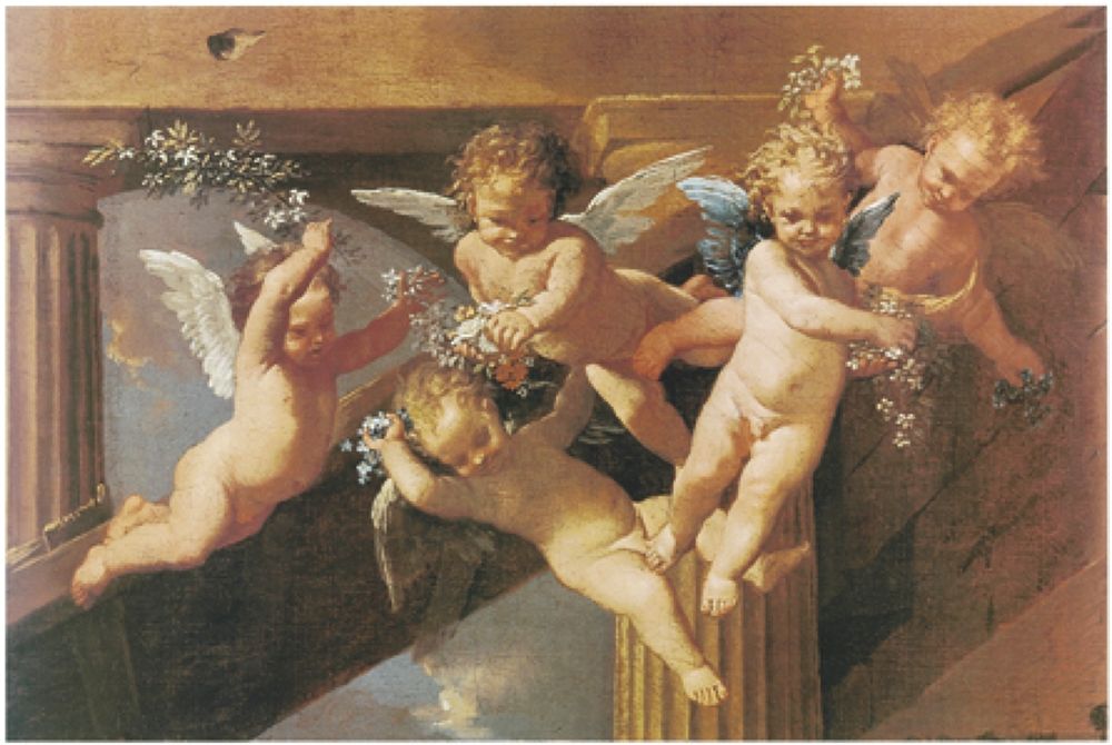 Cherubs