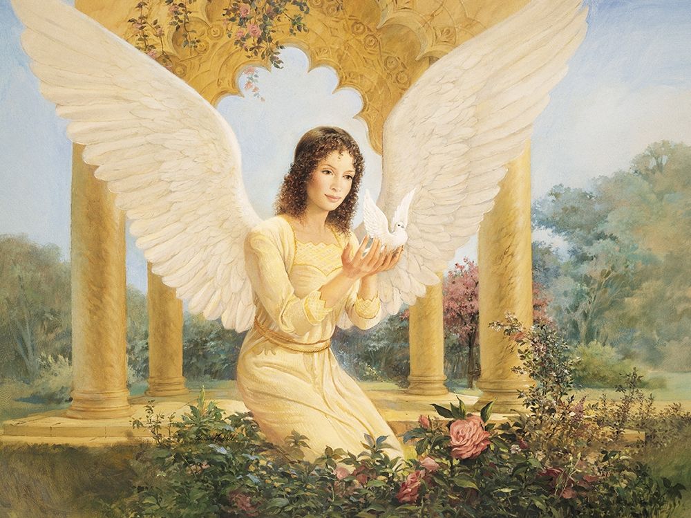 Angel and Dove