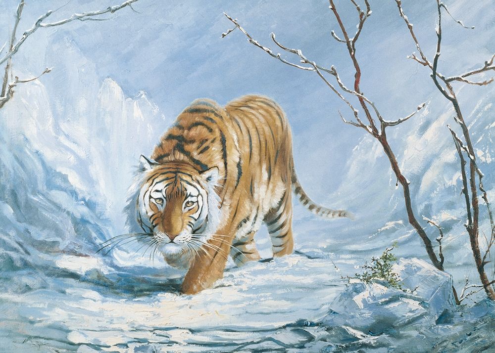 Stalking Tiger