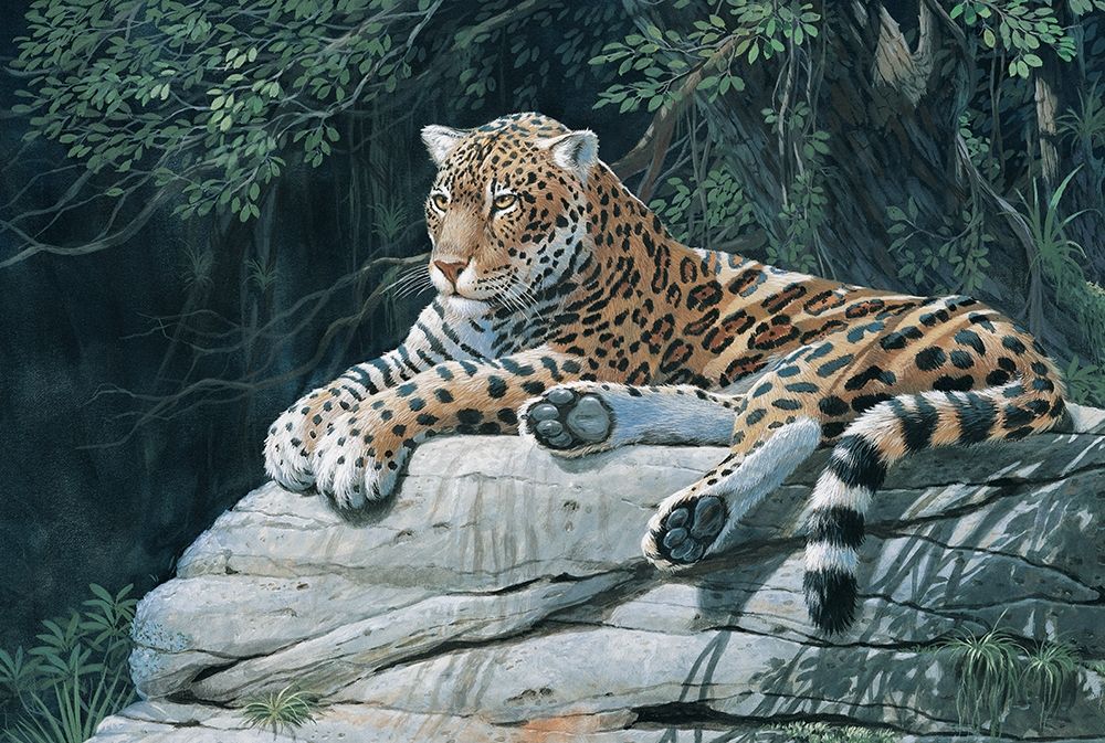 Jaguar