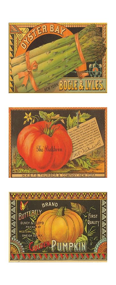 Asparagus-Tomato-Pumpkin