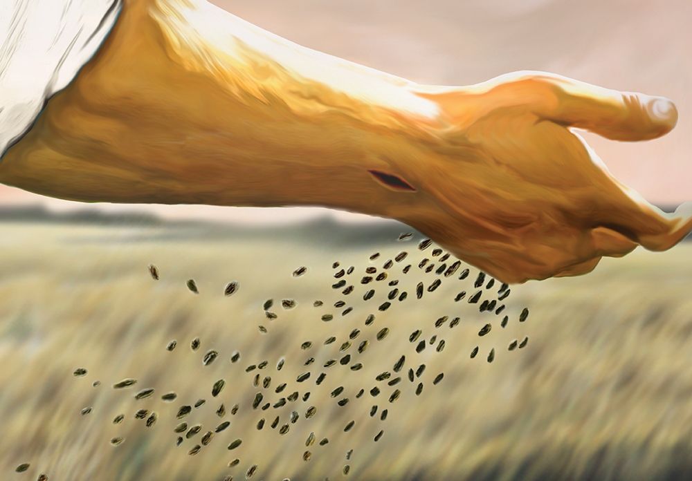 Seed Sower