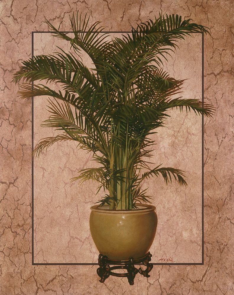 Potted Palm I