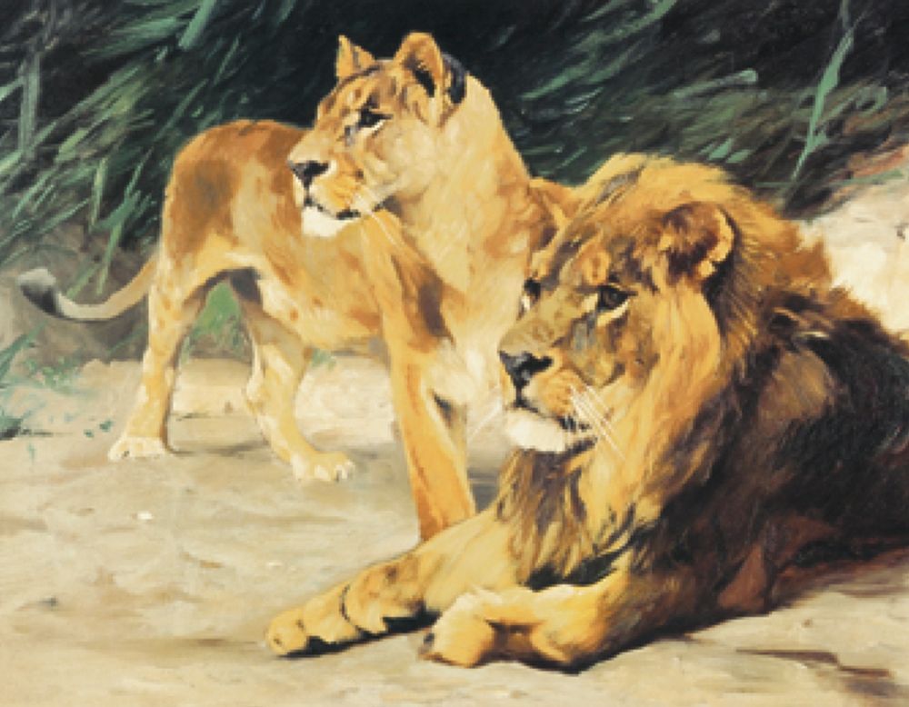 Two Lions