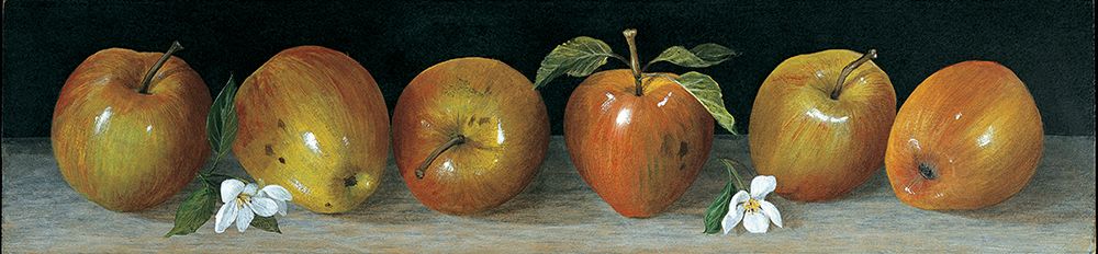 Apple Panel