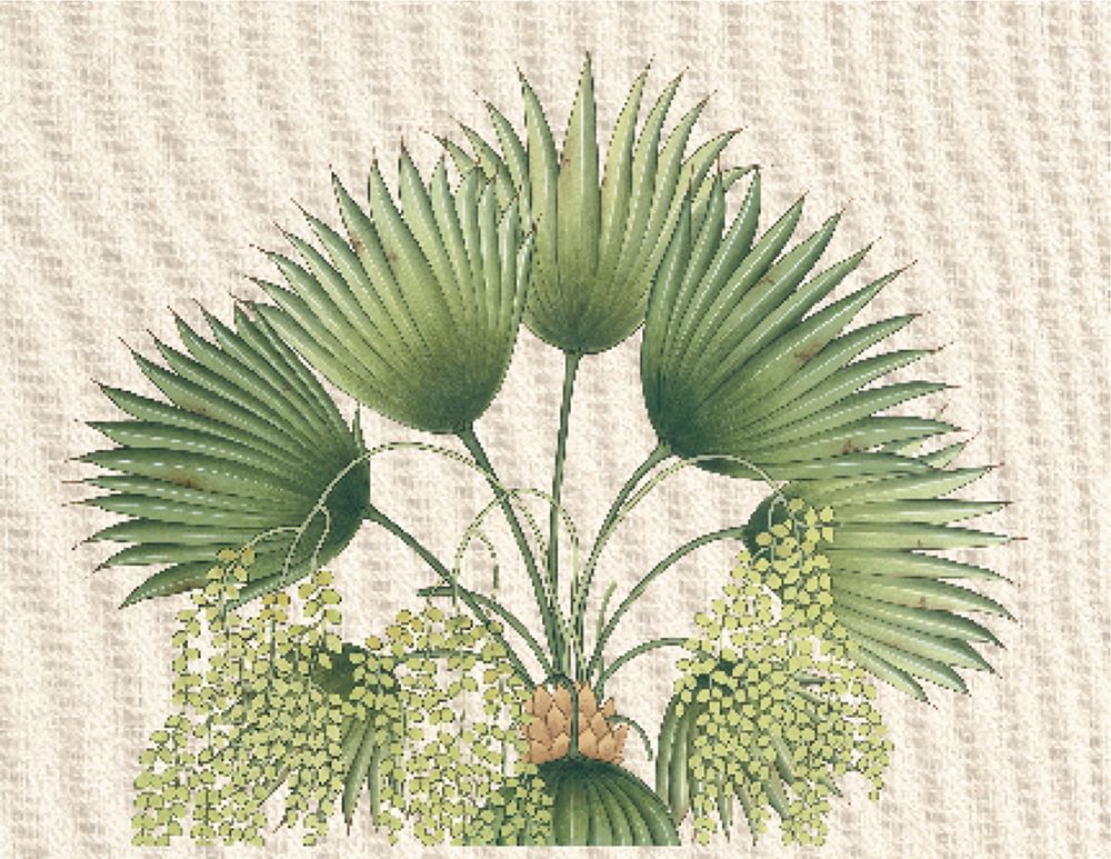 Palm Fronds II