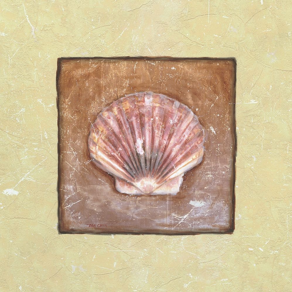 Sea Shell