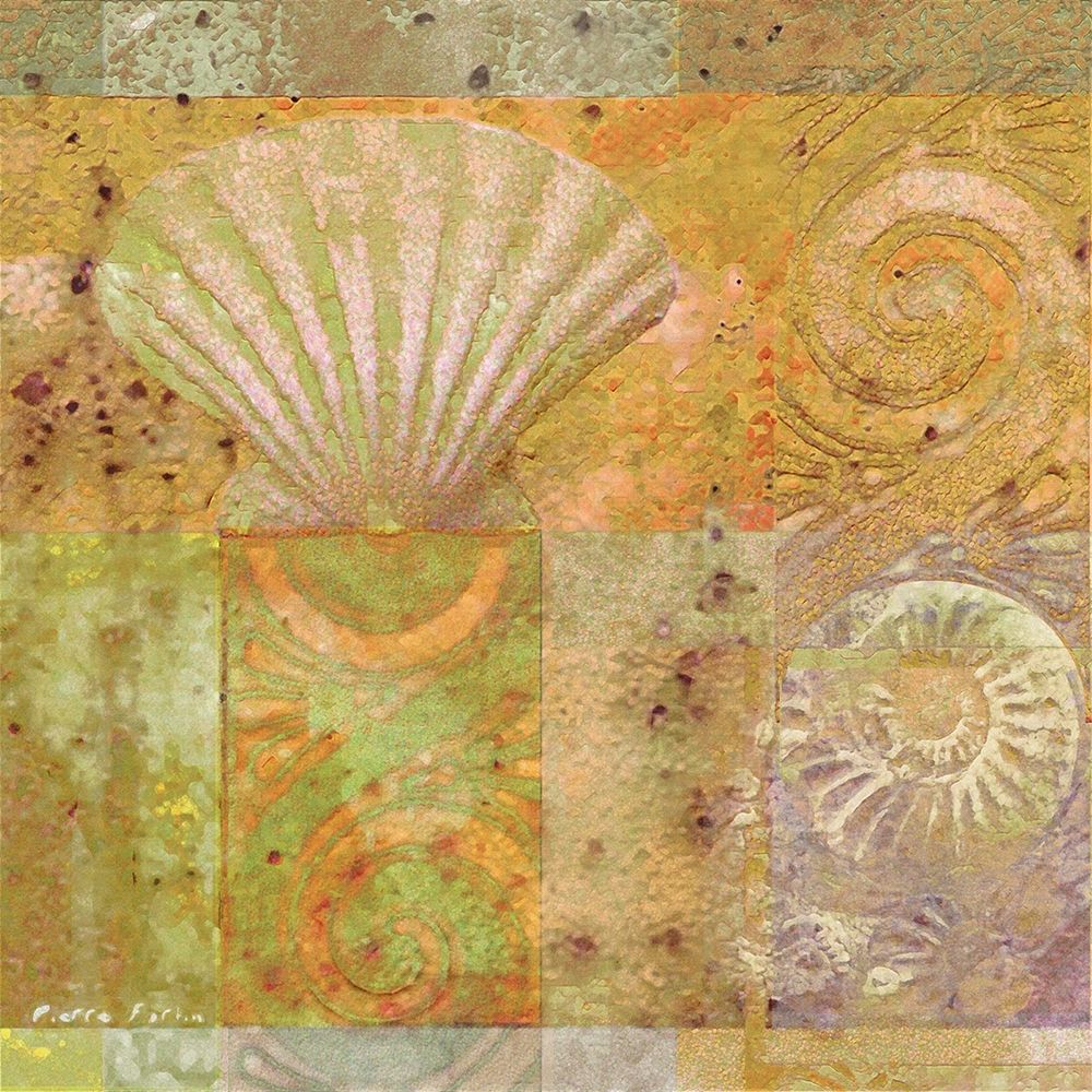 Seashell Collage