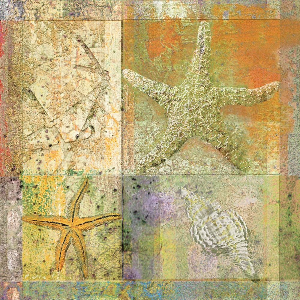 Starfish Collage