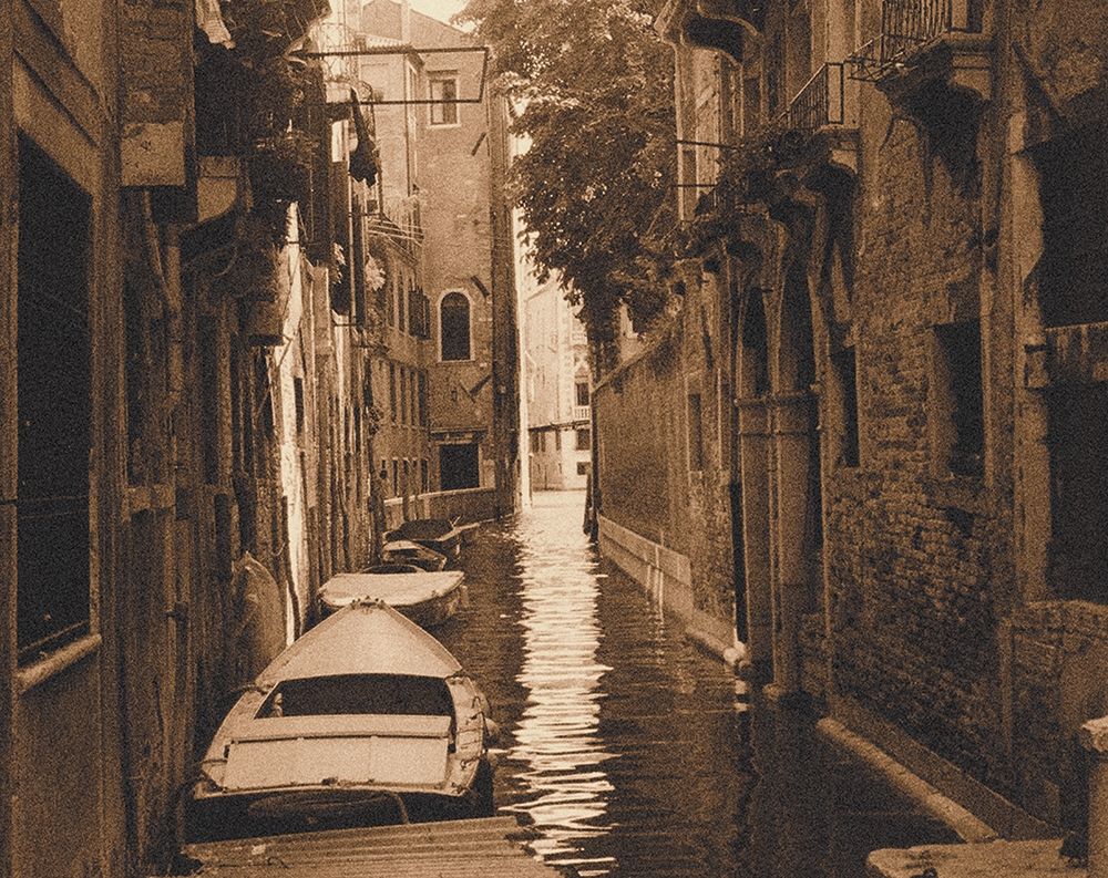 Venice I