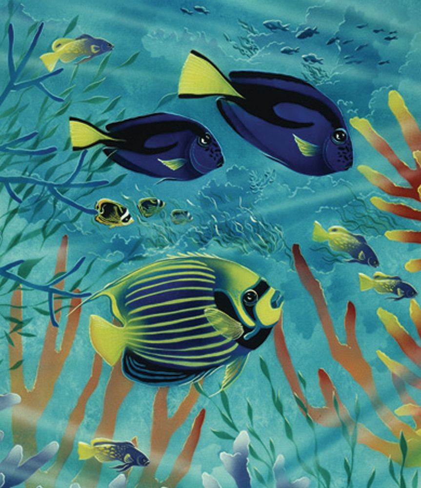 Exotic Fish II